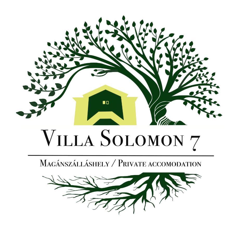 Apartmentvillasolomon7 Visegrad Bagian luar foto