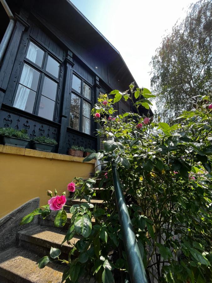 Apartmentvillasolomon7 Visegrad Bagian luar foto