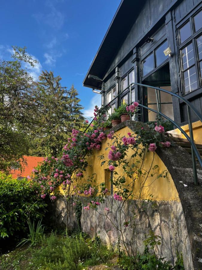Apartmentvillasolomon7 Visegrad Bagian luar foto