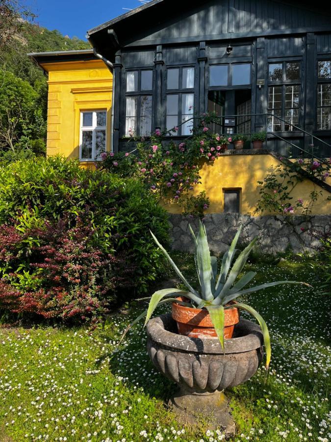 Apartmentvillasolomon7 Visegrad Bagian luar foto