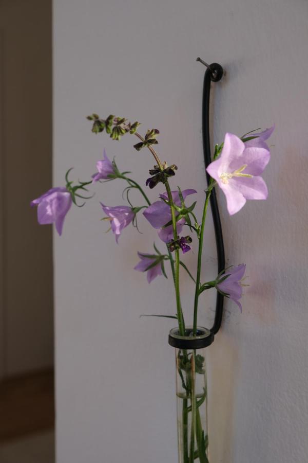 Apartmentvillasolomon7 Visegrad Bagian luar foto